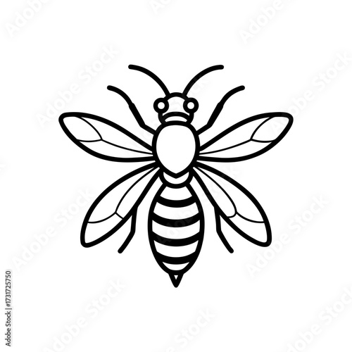 Illustration of a bee with detailed wings and striped abdomen in black and white outline style art work on transparent background