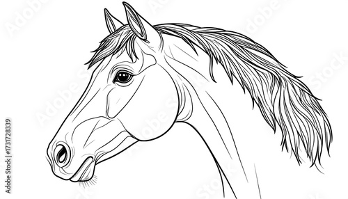 Detailed line drawing of a horse's head in profile