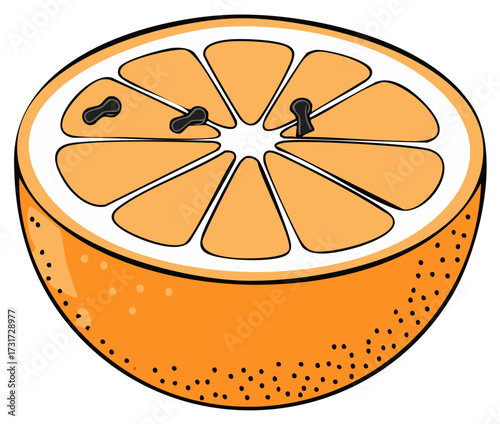 Orange fruit slice with cloves. Illustration of citrus and spice ingredients for cooking.