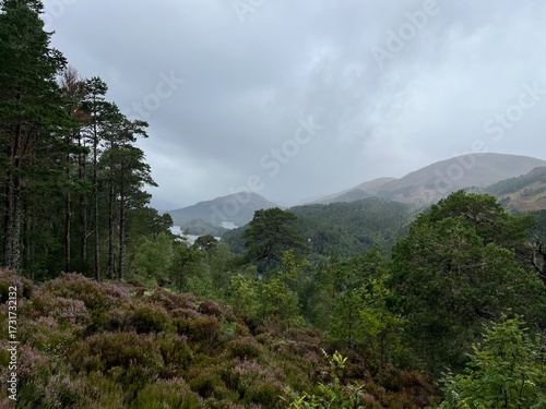 Wallpaper Mural Glen Affric, au cœur des Highlands d'Ecosse une vallée exceptionnelle Torontodigital.ca