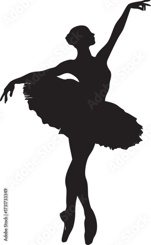  silhouette of a ballerina dancing pose