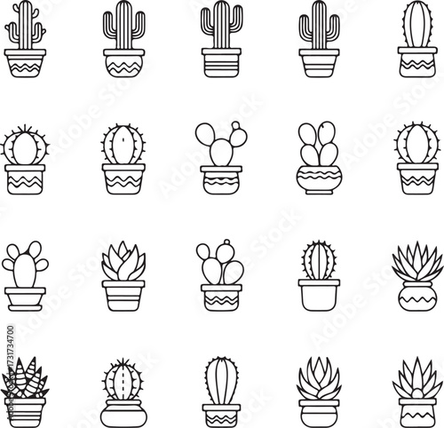 Cactus collection: A graphic ensemble showcases a diverse collection of cactus plants in various forms, offering a visual symphony of desert flora. 