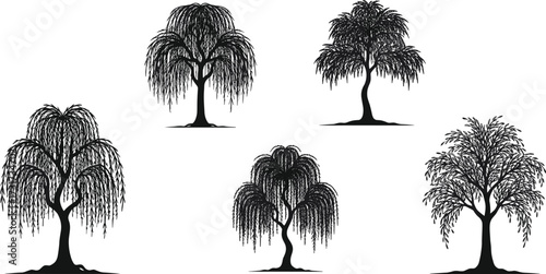 Willow tree silhouette illustrations, drooping branches artwork, decorative nature design, botanical sketch, landscape element, artistic foliage outline, environmental art, natural plant drawing