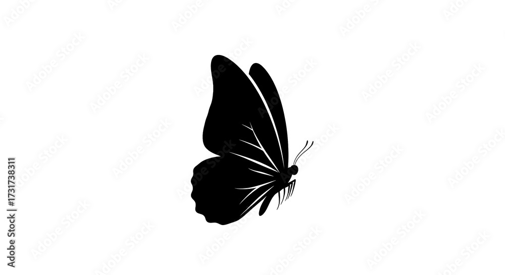 Obraz premium Elegant Silhouette of a Butterfly Representing Nature and Transformation
