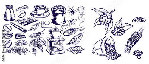 Set of coffee beans in bag in graphic style hand-drawn vector