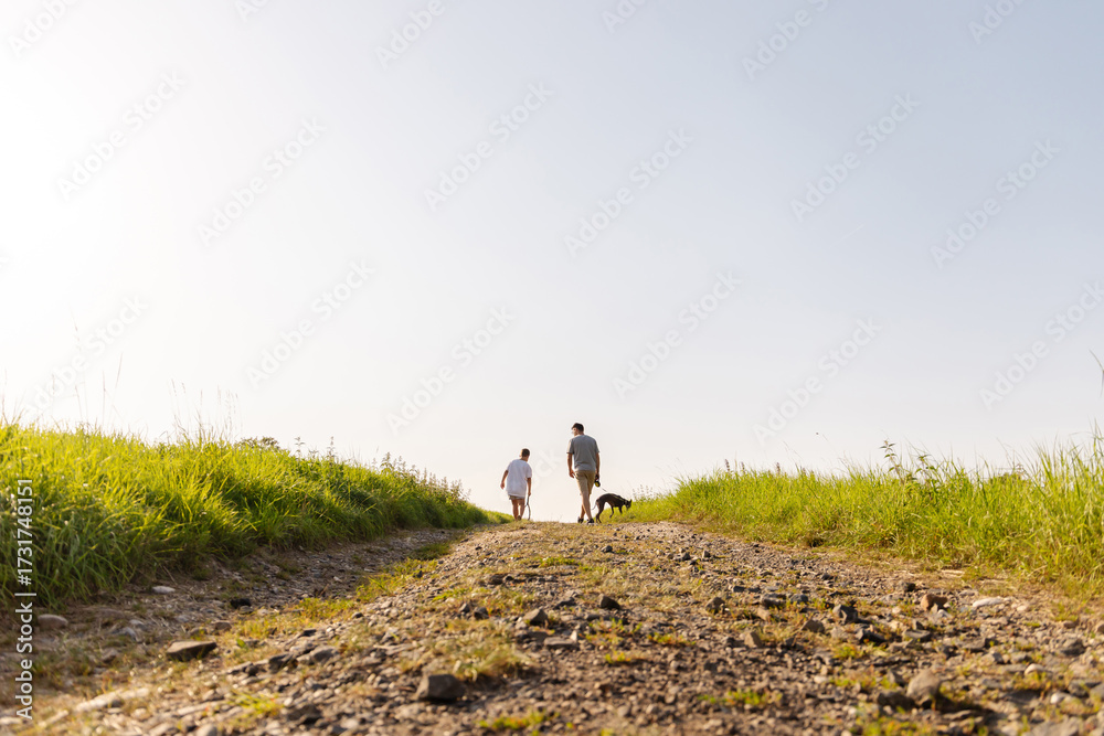 Fototapeta premium Under a clear blue sky, a man and his son walk together with their dog along a gravel path surrounded by tall grass. The scene captures a moment of family bonding outdoors