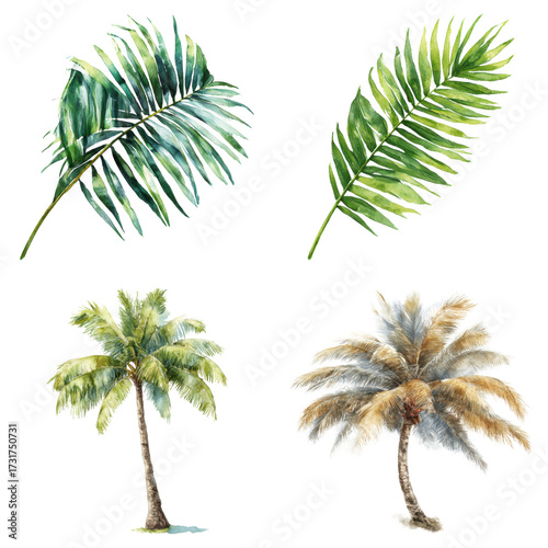 Watercolor painting of tropical palm leaves and trees, summer vacation vibe, beautiful detailed illustration on transparent background