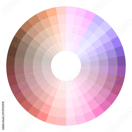 Muted color wheel illustration. Brown pink tones. Circular chroma Vector guide. Gradient tone palette.