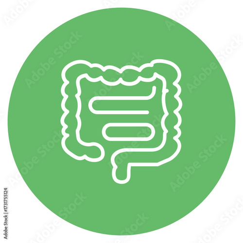 Large Intestine icon vector image. Can be used for Human Anatomy.