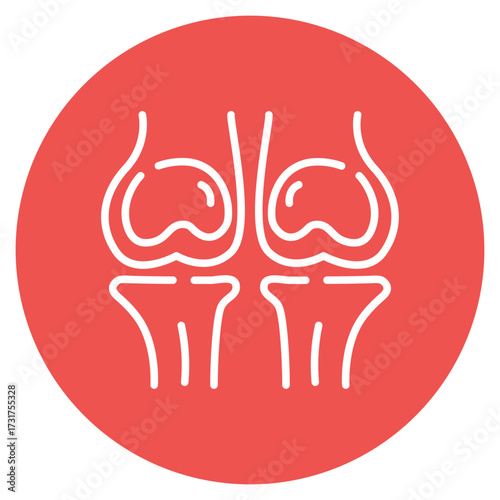 Patella icon vector image. Can be used for Human Anatomy.
