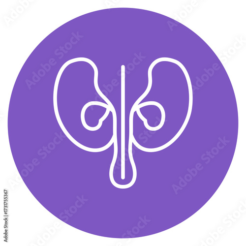 Prostate icon vector image. Can be used for Human Anatomy.