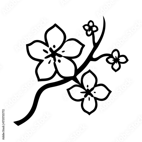 Cherry blossom branch illustration in black and white for spring equinox celebration  