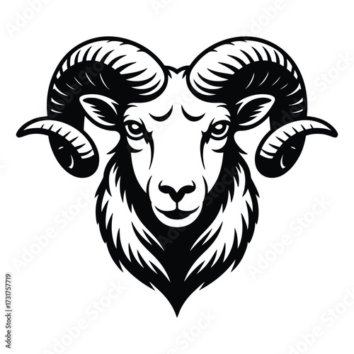 vector illustration of a goat