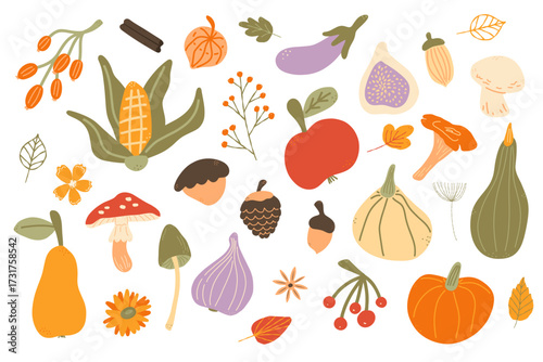 Hand drawn illustration of fresh autumn vegetables and fruits. Thanksgiving nutritious healthy food. Autumn harvest festival. November autumnal color flat spot illustration