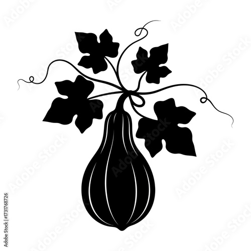 Black silhouette of a butternut squash with leaves and tendrils