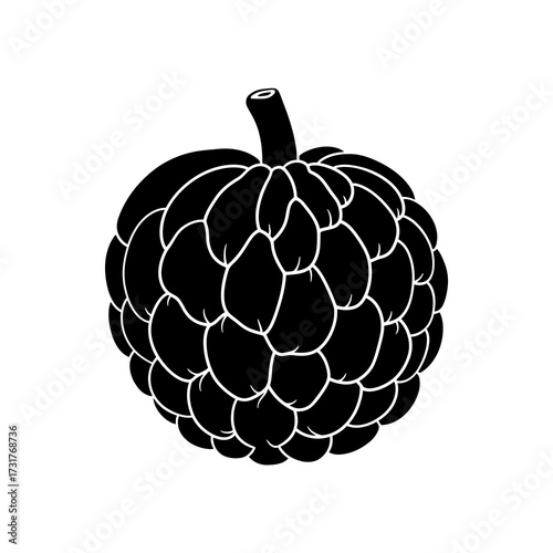 Black and white illustration of a custard apple fruit