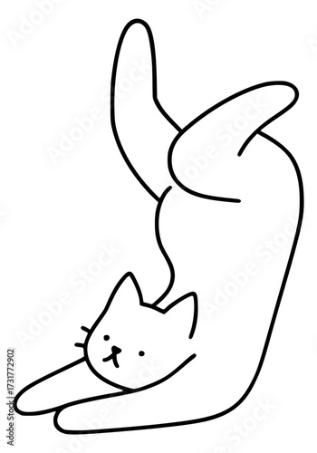 A cat does yoga in a strange asana