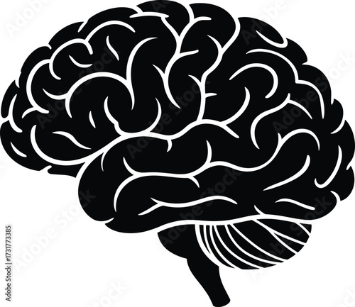 Black Silhouette of Human Brain with Detailed Lobes mind thinking