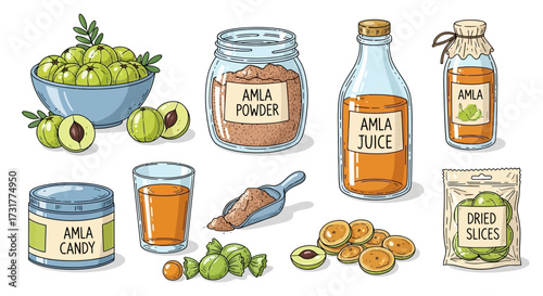 Hand drawn illustration showcasing various amla products, from juice to candy in detailed graphics