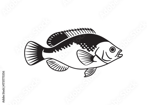 Freshwater bass fish vector silhouette, black aquatic animal design.