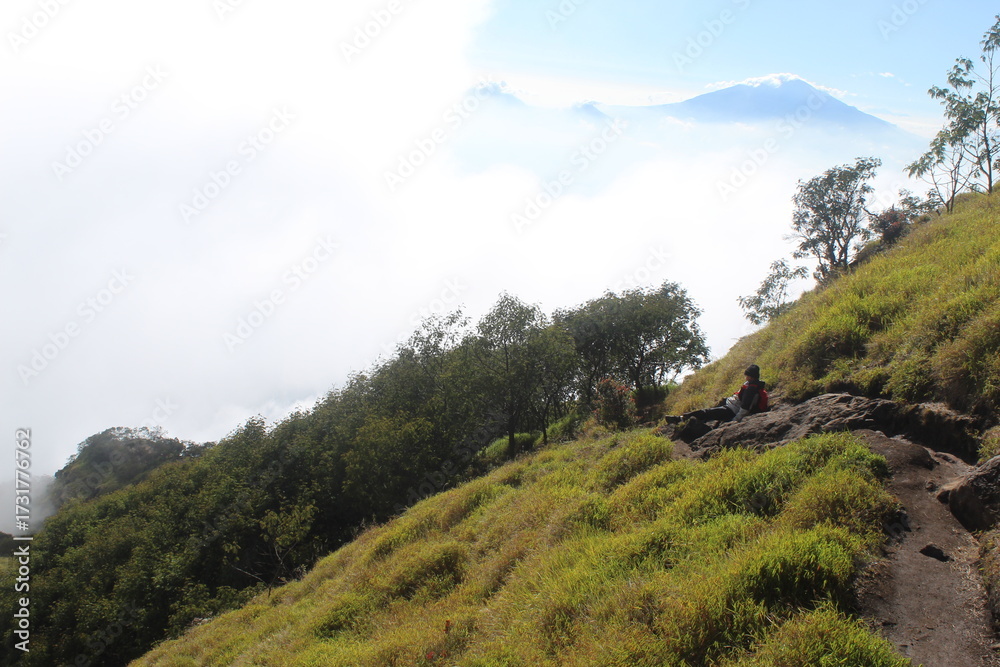 Fototapeta premium Peaceful landscape photograph capturing a lush green hillside with scattered trees and a lone hiker seated on a rock, gazing into the mist-covered valley below