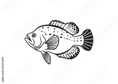 Simple bass fish silhouette icon, vector aquatic illustration isolated.