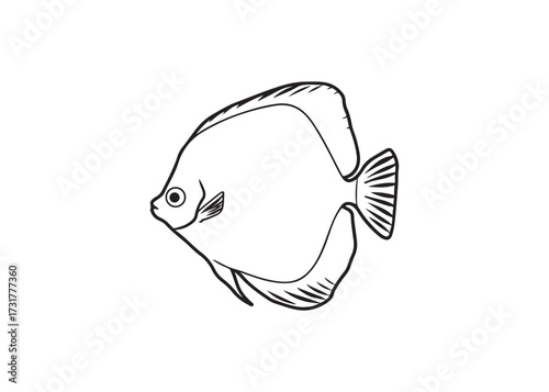 Discus fish and moorish idol silhouette, marine tropical fish vector artwork.