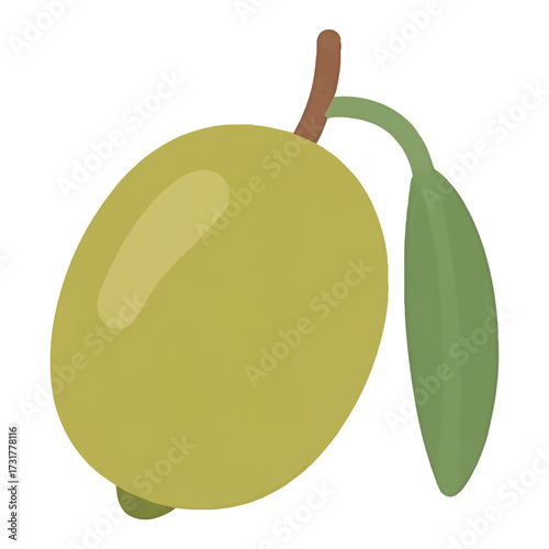 Green Olive with Leaf Vector Isolated Illustration