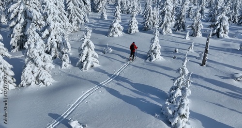 Aerial view of ski touring man crossing winter spruce forest, fresh snow. Clear sunny day, winter sport activity.