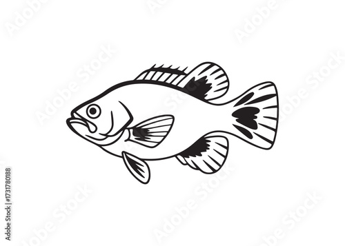 Freshwater bass fish vector silhouette, black aquatic animal design.