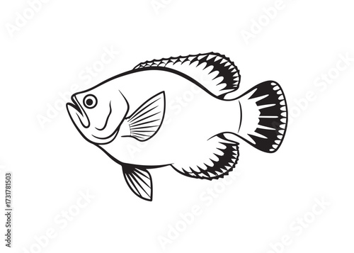 Simple bass fish silhouette icon, vector aquatic illustration isolated.