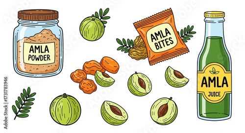 Amla products illustration with juice, powder, bites, and fresh amla for healthy lifestyle