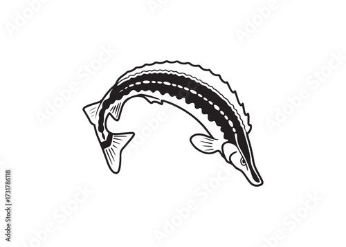 Eel fish silhouette black vector design for aquatic illustration.