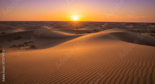 Desert landscape at sunset