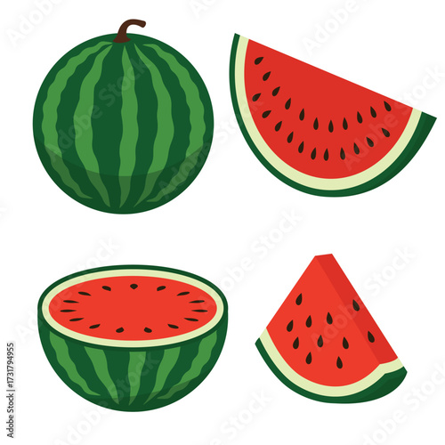 vector illustration of watermelon