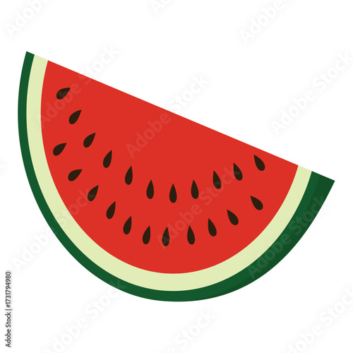 watermelon vector illustration