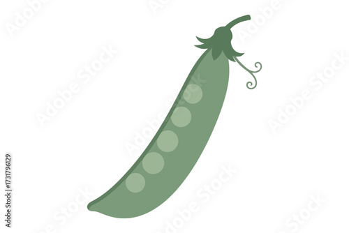 Illustration of a green pea pod, a nutritious and delicious vegetable, often used in cooking and associated with healthy eating and fresh produce
