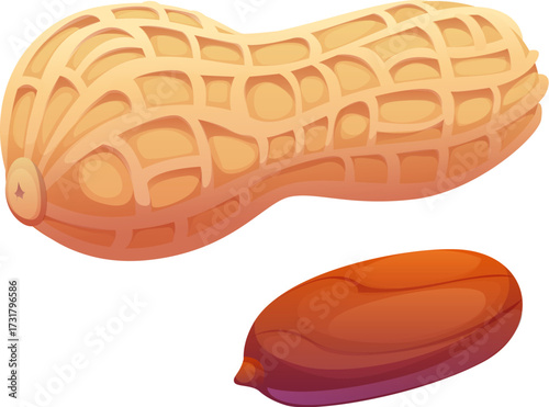 Cartoon raw ripe peanuts, whole and shelled nuts showing textured shells and brown kernel. Isolated vector nutritional crunchy snack, baking ingredient, healthy natural seed plant, peanut pod