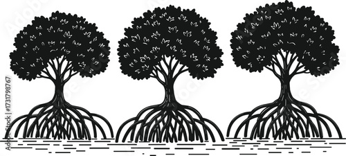 Mangrove trees illustration, coastal ecosystem roots, black and white vector, tropical wetland forest, environmental conservation, nature habitat, shoreline protection artwork