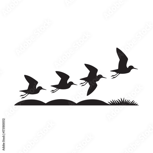 Vector art of flock of birds flying over the field black and white vector illustration of birds flying over the field