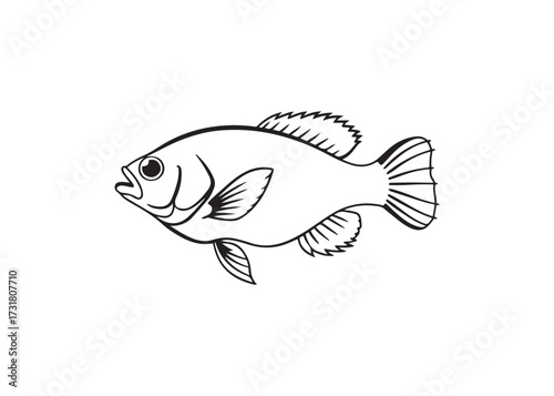 Bass fish black silhouette artwork, aquatic vector icon illustration.