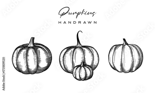 Pumpkin vector drawing set. Isolated hand drawn object with sliced piece and leaves. Vegetable engraved style illustration. Detailed vegetarian food sketch. Farm market product.