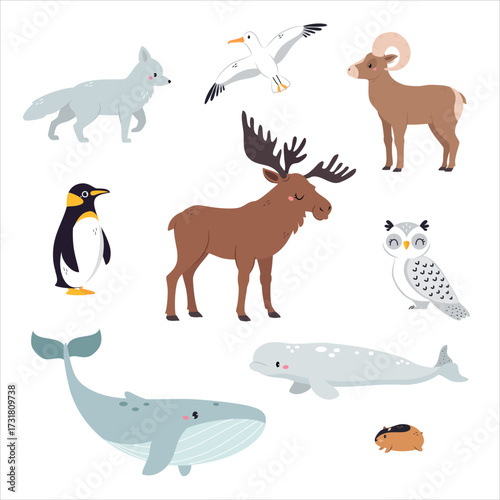 Northern Animal and Zoo Creature from Cold North Vector Set