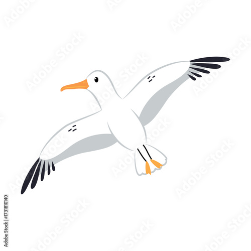 Northern Seagull Bird and Zoo Creature from Cold North Vector Illustration