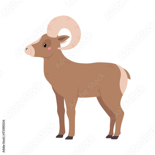 Northern Ram Animal and Zoo Creature from Cold North Vector Illustration