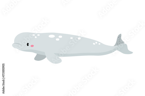 Northern Dolphin Animal and Zoo Creature from Cold North Vector Illustration