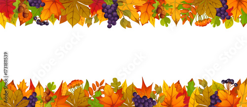 Autumn border frame with cartoon fall leaves and acorns, grapes and rowan berries on white background. Autumn season frame border vector template for Thanksgiving greeting card and social media banner