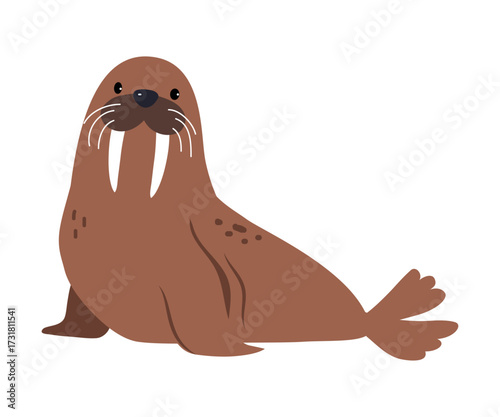 Northern Walrus Animal and Zoo Creature from Cold North Vector Illustration