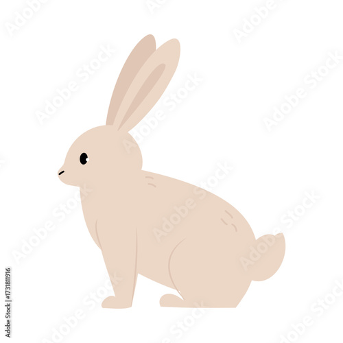 Northern White Rabbit Animal and Zoo Creature from Cold North Vector Illustration