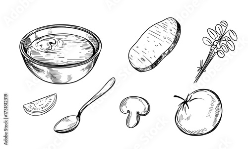 Vegetable soup. Hand drawn illustration converted to vector
